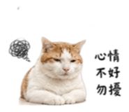 843777494