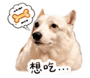 843778162
