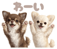 843778591