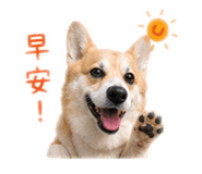 843778746