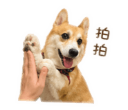 843778771