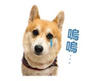 843778772