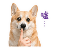 843778776