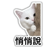 843778909