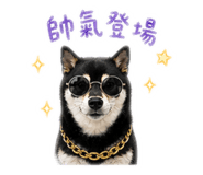 843779377