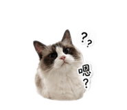 843779876