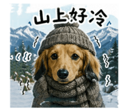 843780528