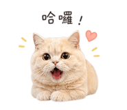 843781377