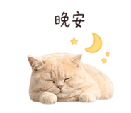 843781380