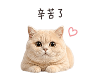 843781382