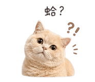 843781383