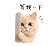 843781385