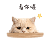 843781386