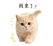 843781390