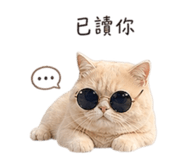 843781392