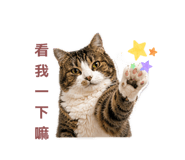 843781511