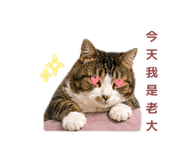 843781515