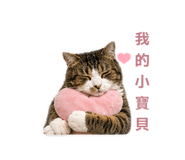 843781516