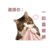 843781517