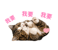 843781525