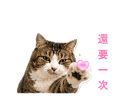 843781527