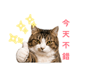 843781528