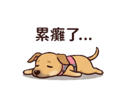 843781551