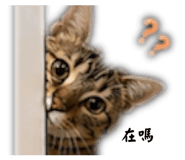 843781812