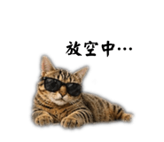 843781816