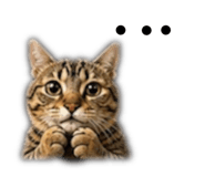 843781818