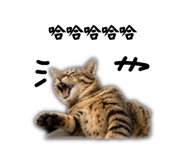 843781819
