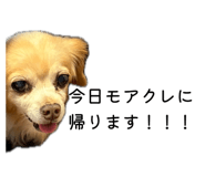 843782138