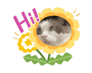 843782393