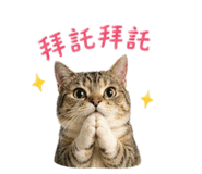 843783289