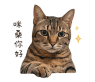 843783425