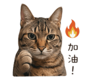 843783434