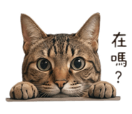 843783436