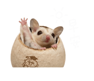 843783578