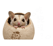 843783580