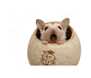843783582