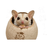 843783583
