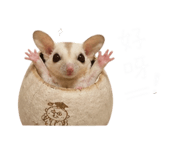 843783584