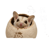 843783585