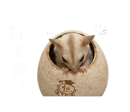 843783586