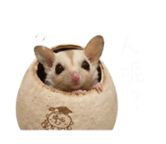 843783587