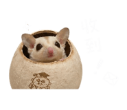 843783588