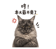 843783750
