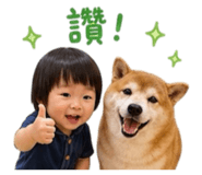 843784145