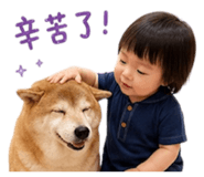843784146