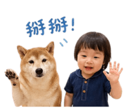 843784160